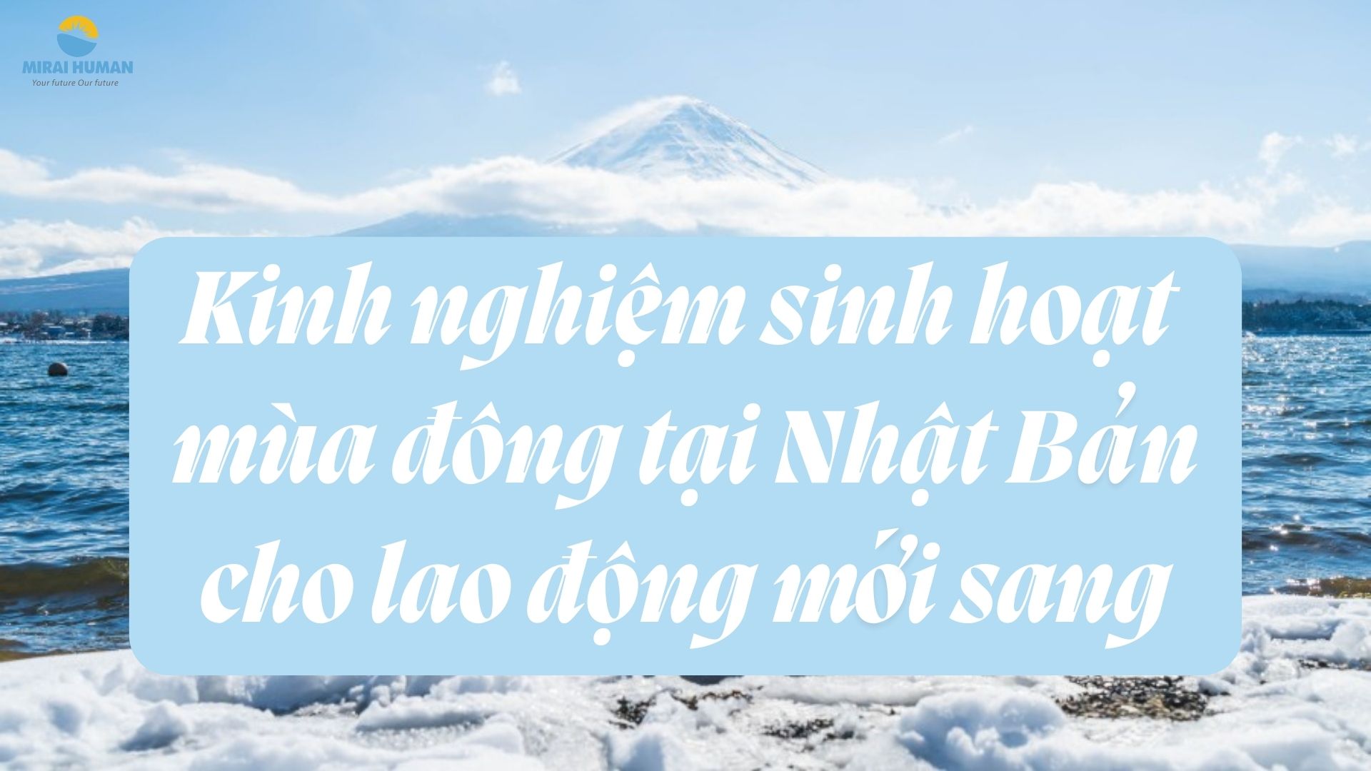 lao động Nhật Bản
